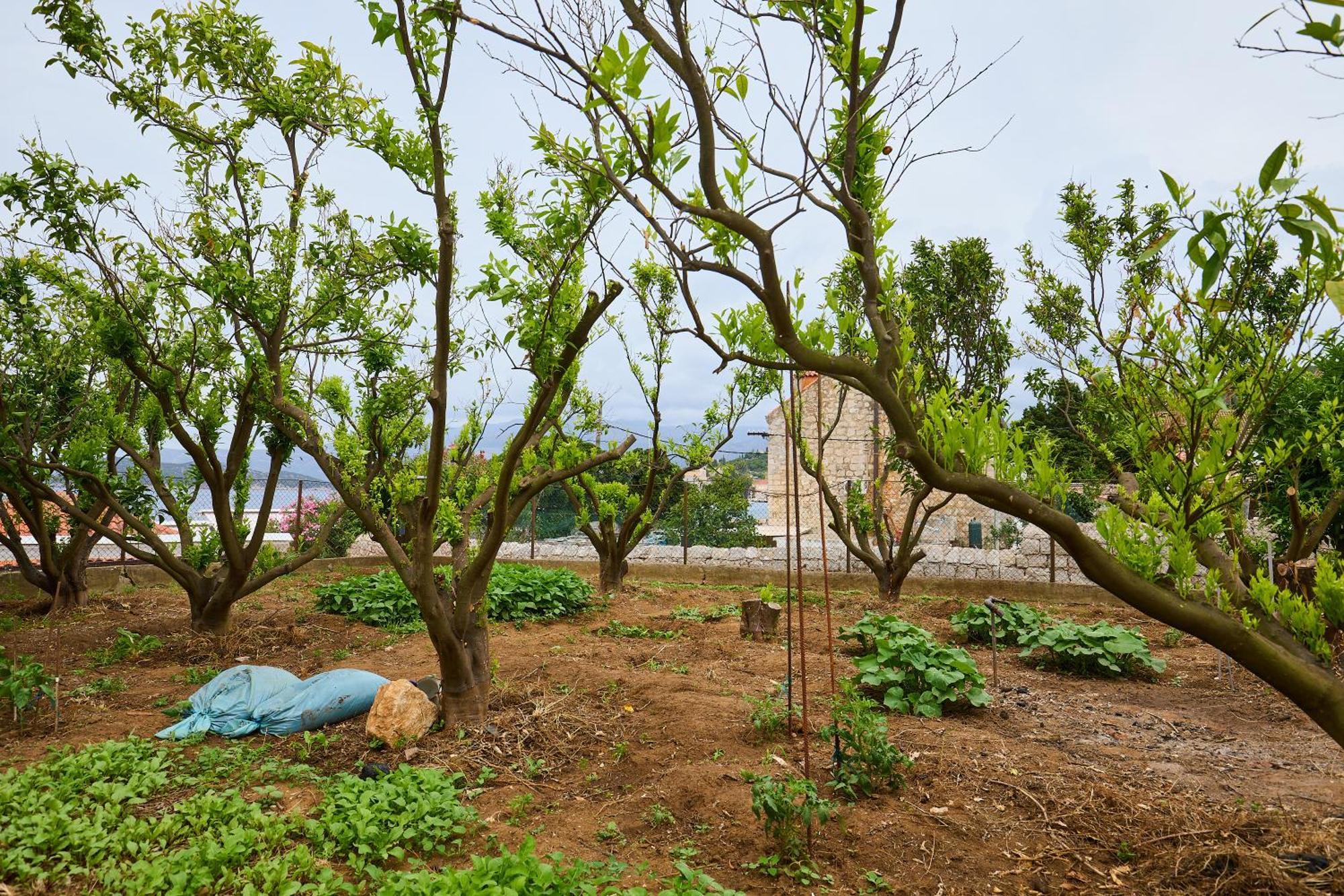 Apartment Beloc House Island Lopud